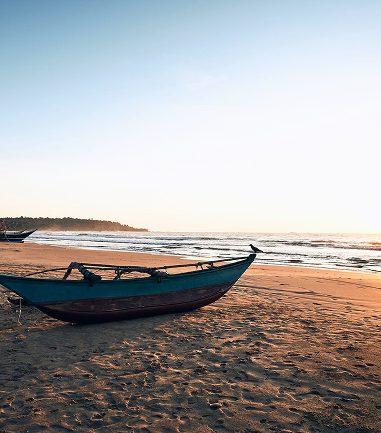 Beyond the Coast