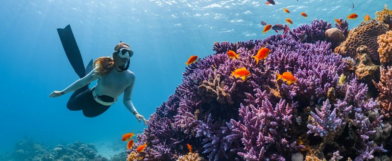 12-Day Complete Island Expedition