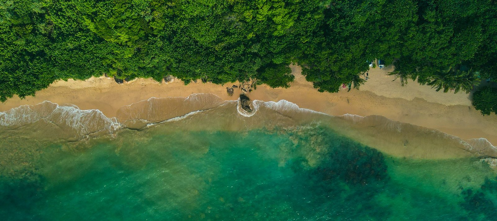 Sheltered Unawatuna Waters