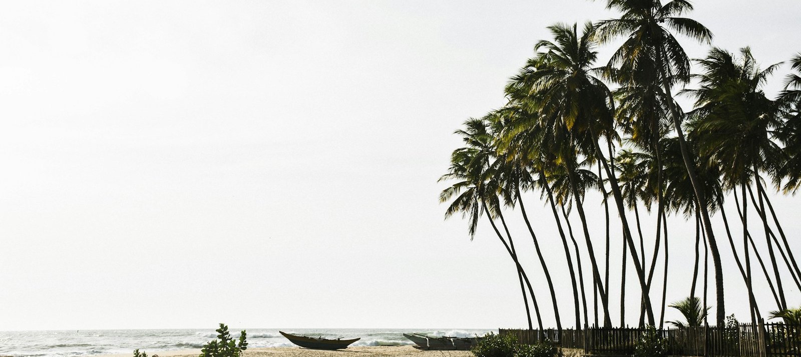 Untamed Arugam Bay