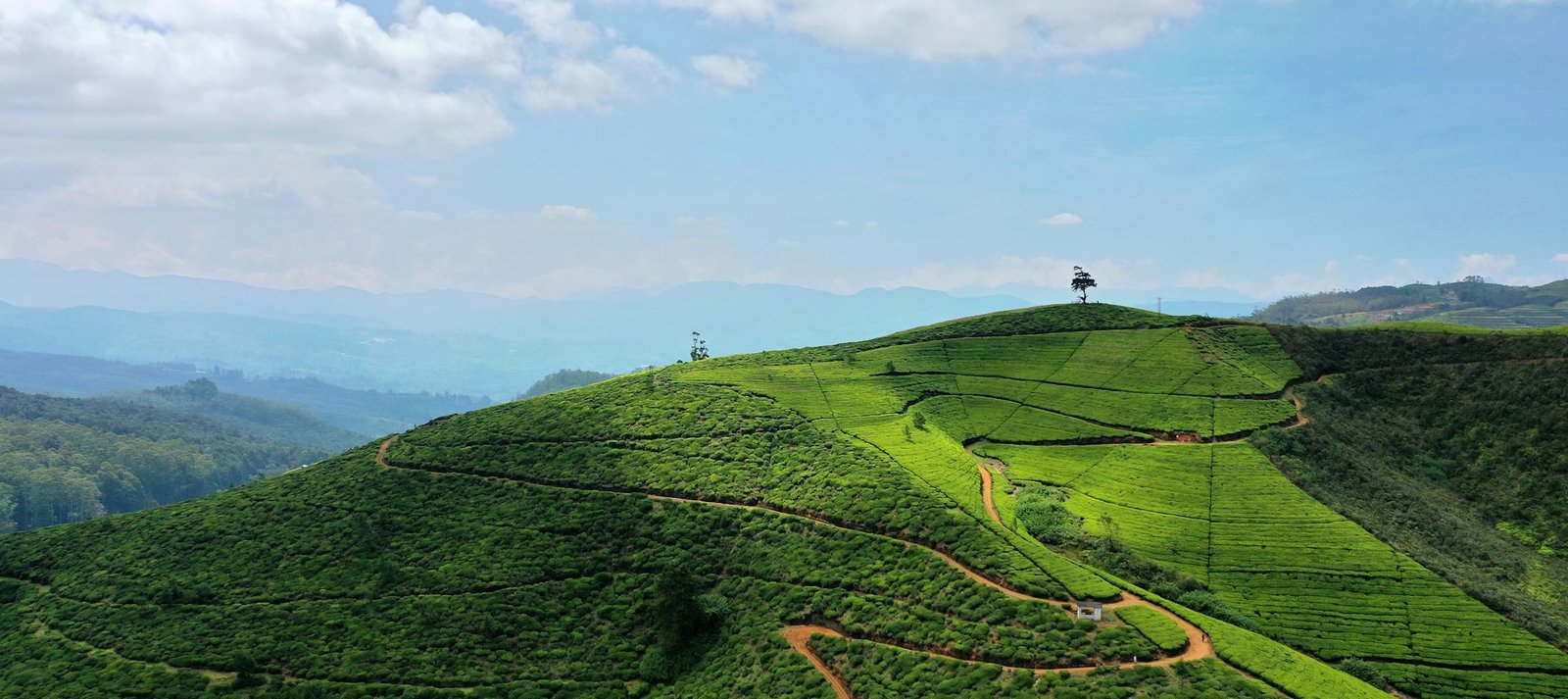 Aristocratic Nuwara Eliya