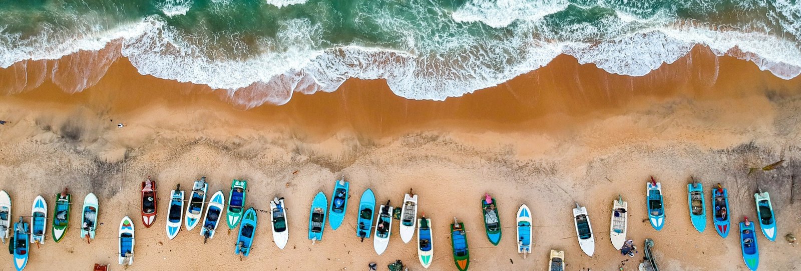 Untamed Arugam Bay