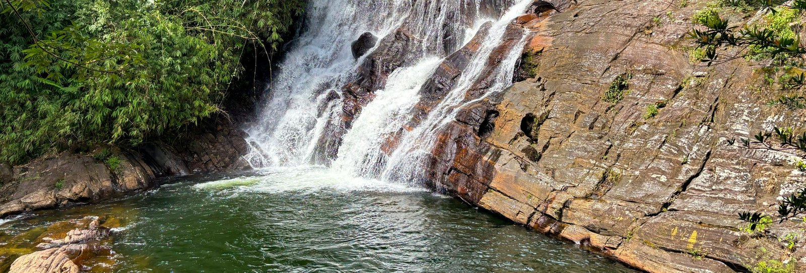 Sinharaja Rainforest Trek