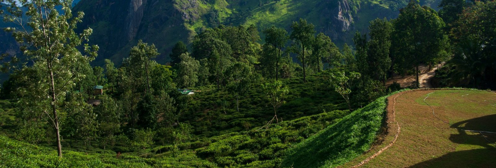 Ella Valley Plantations