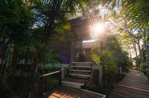 Sinharaja Rainforest Trek