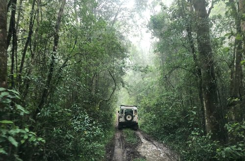 Sinharaja Rainforest Trek