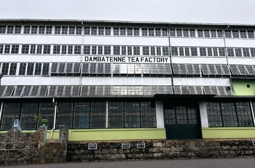 Historic Haputale Horizons