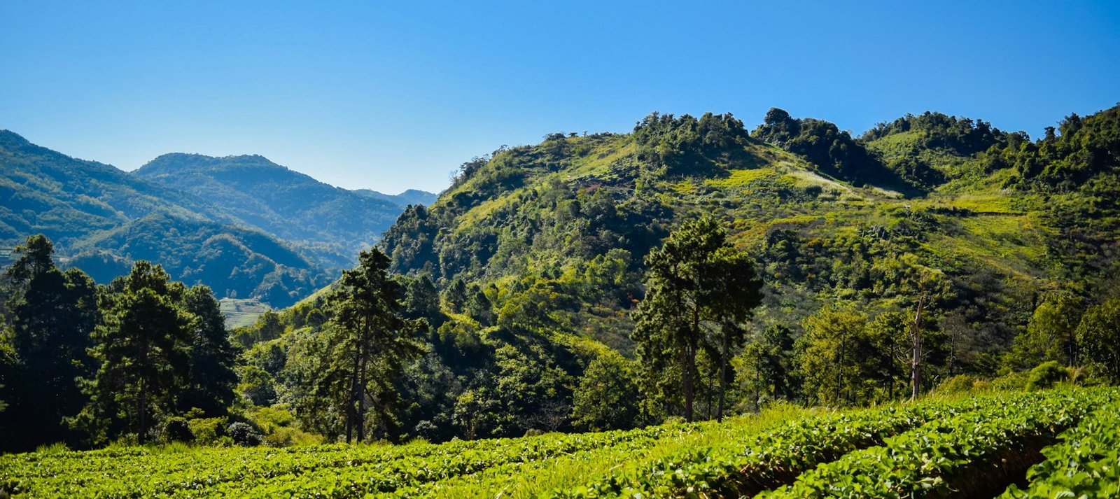 Historic Haputale Horizons