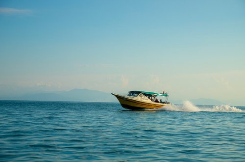 Whale & Dolphin Watching