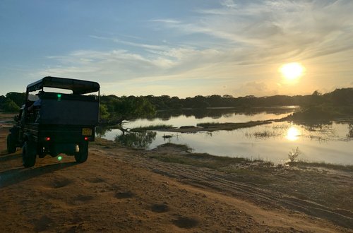 Yala Apex Safari