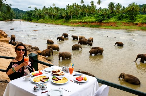 Pinnawala Elephant Sanctuary