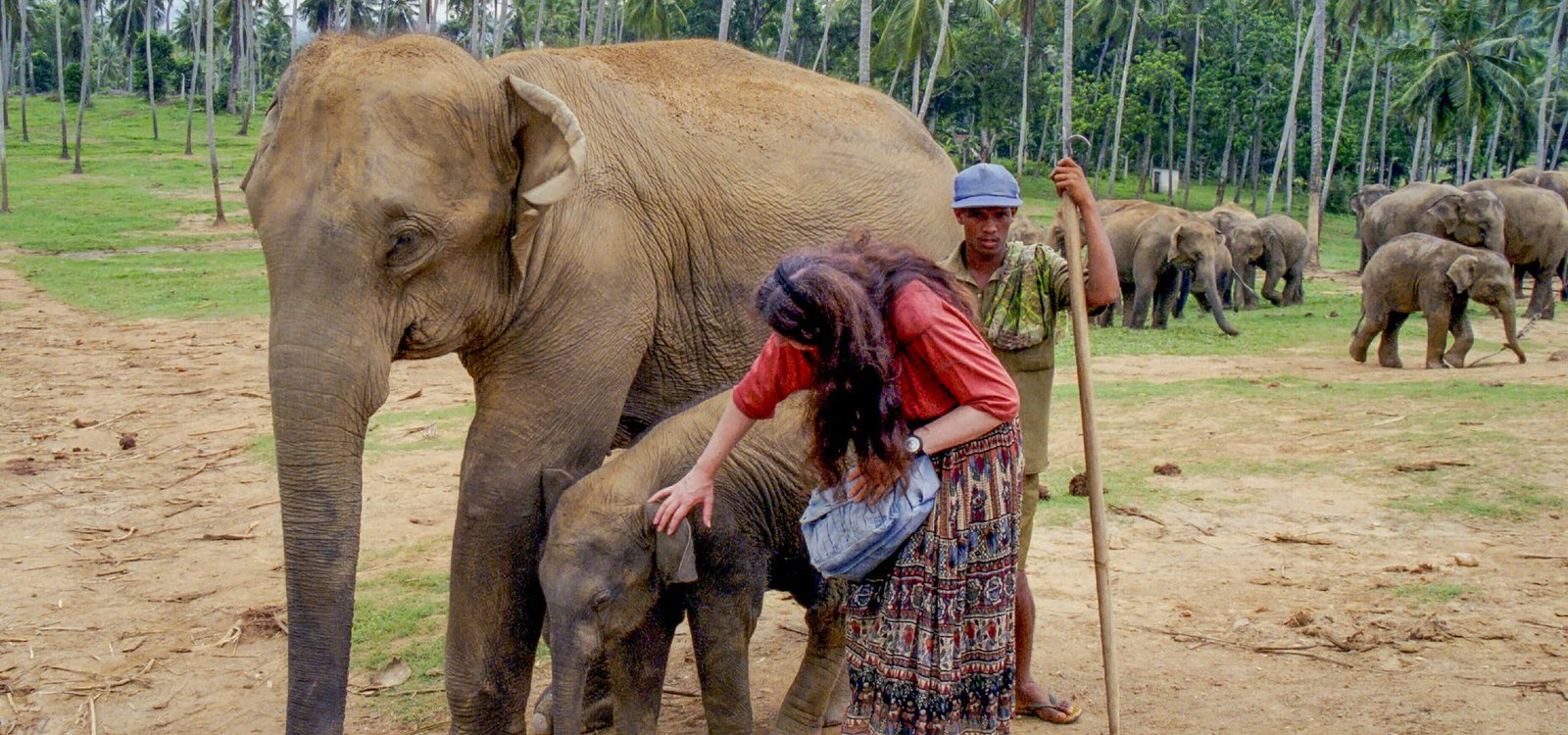 Pinnawala Elephant Sanctuary