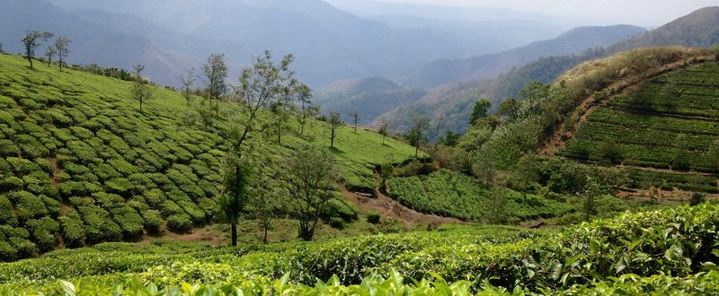 7-Day Grand Cultural Expedition