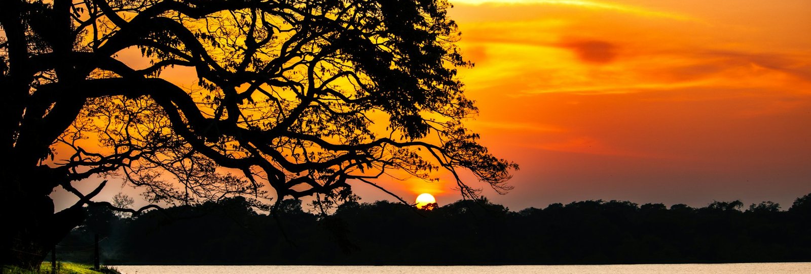 Pristine Wilpattu Tracking
