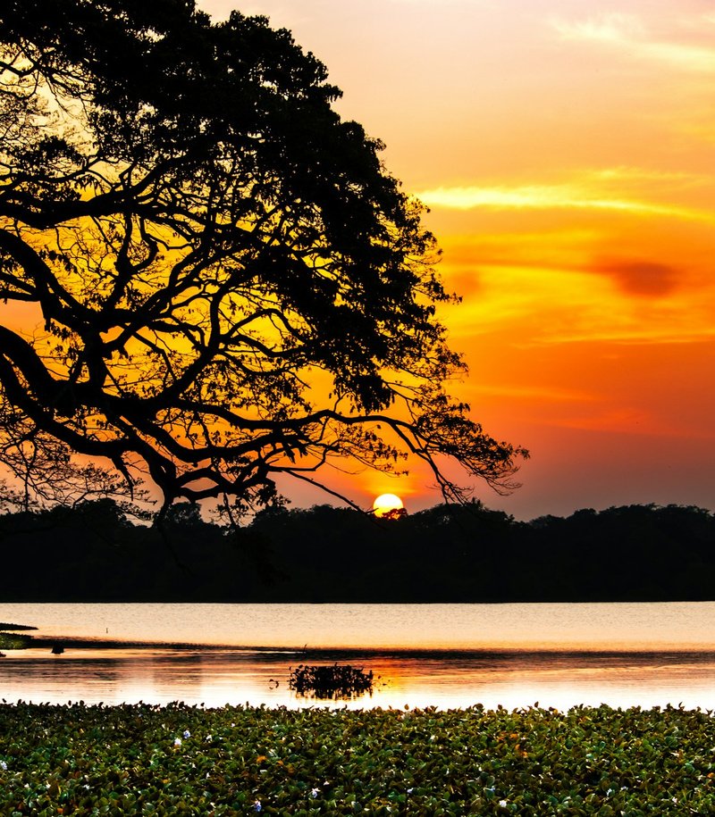 Pristine Wilpattu Tracking