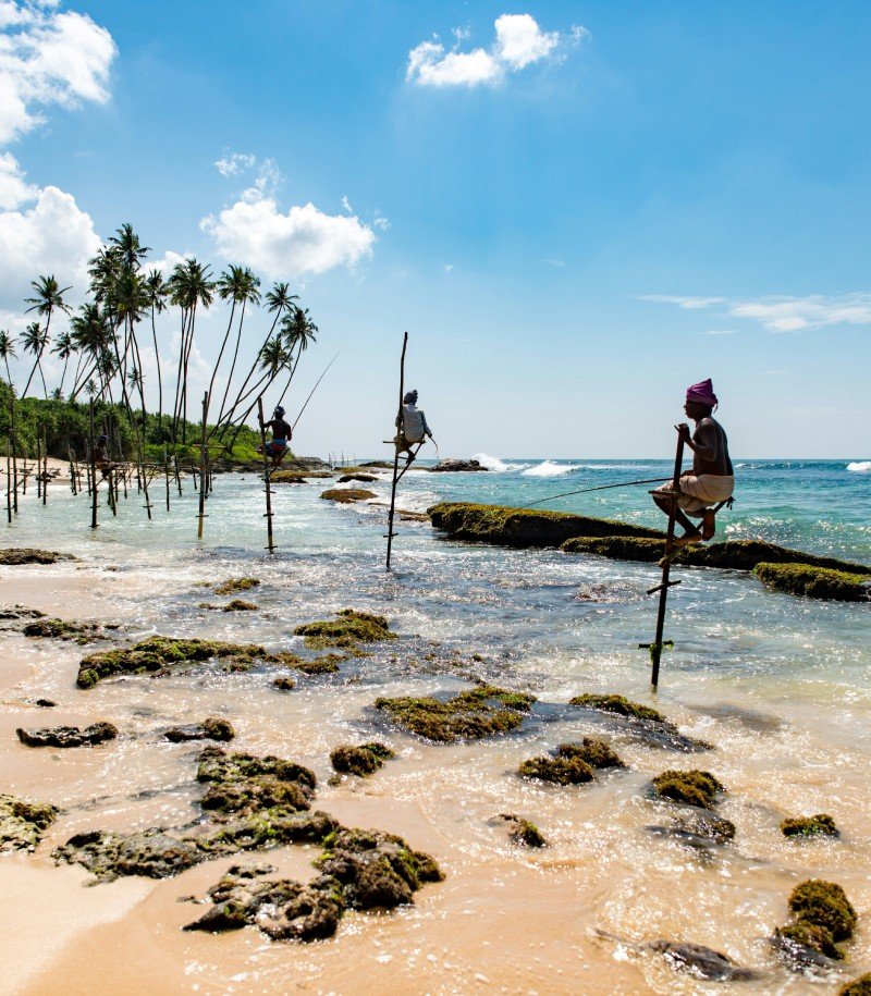 Vibrant Mirissa Coast