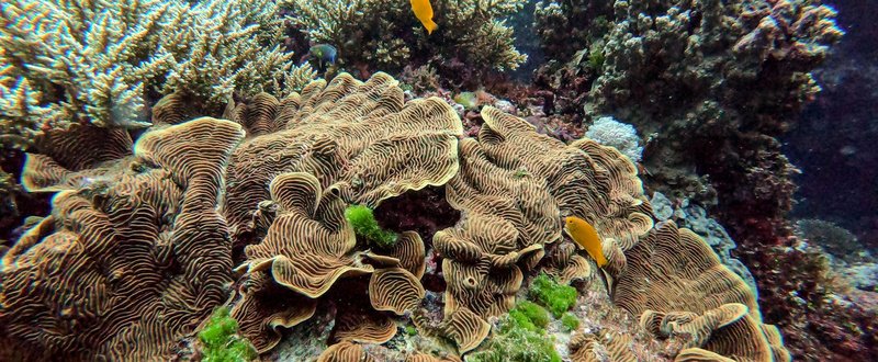 8-Day Ultimate Island Odyssey