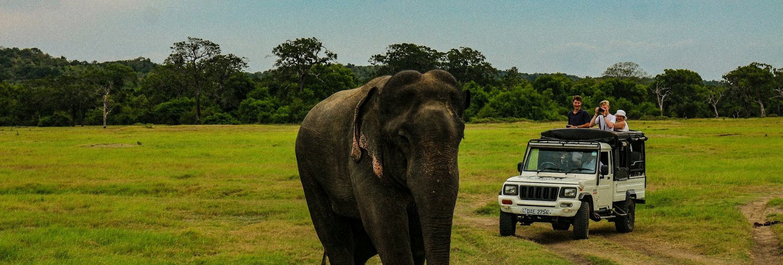 9-Day Highland & Wildlife Expedition