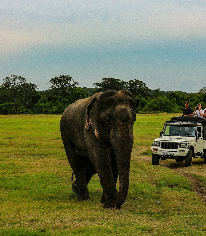 9-Day Highland & Wildlife Expedition
