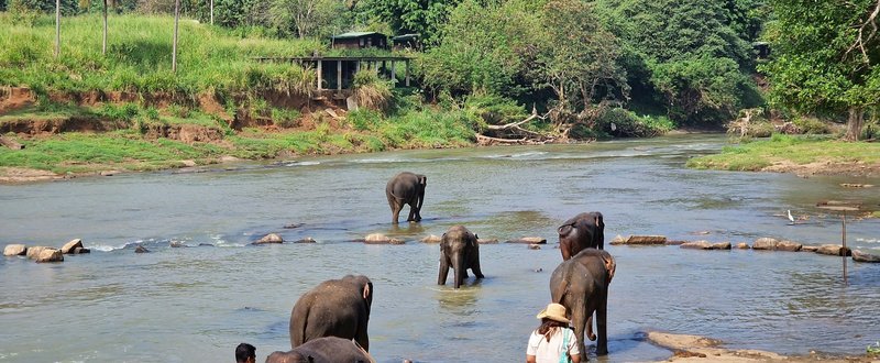 9-Day Highland & Wildlife Expedition