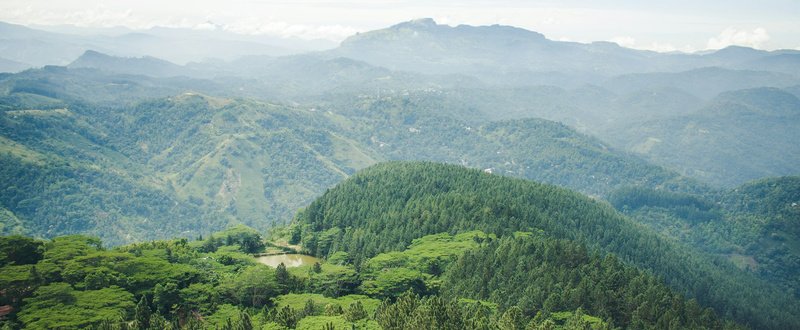 9-Day Highland & Wildlife Expedition