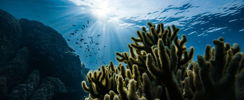6-Day Coastal & Highland Expedition